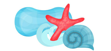 barca-stella-logo barca-stella-logo
