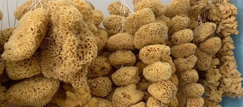 L’antica tradizione della pesca delle spugne di mare